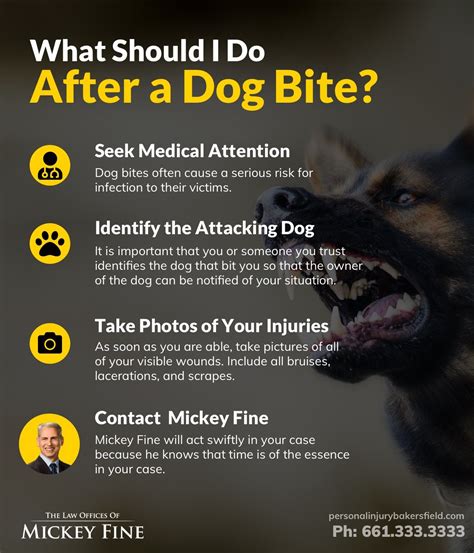 dog biting balls|what to do if a dog bites.